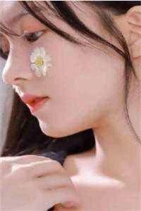 北城旧梦扰清风无删减全文
