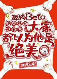 迟梦携君赴余生沈念安苏凛月