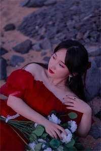 红楼：边关龙骑，吾为庶子正名免费看