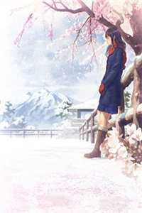 未婚妻男助理污蔑我泄露公司机密，我让公司灰飞烟灭完结+番外